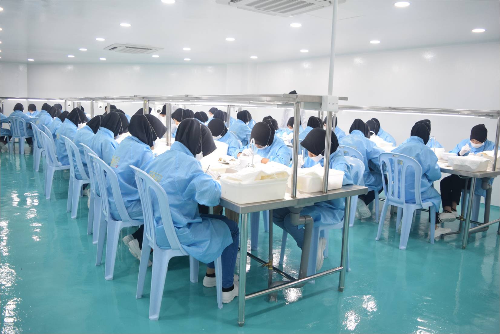 马来西亚星宸燕窝加工厂