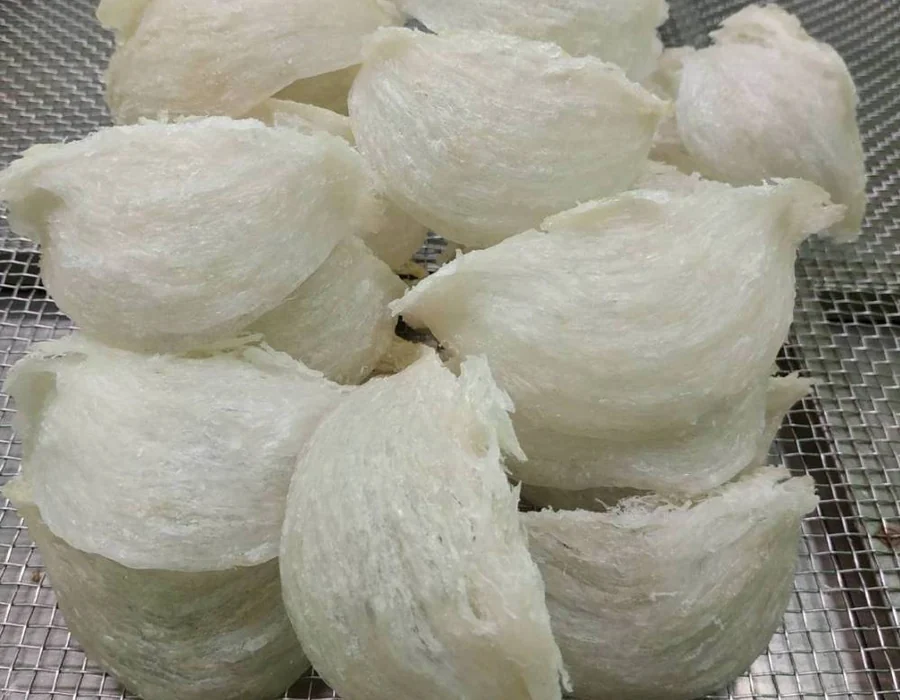 挑毛后 · 干净燕盏