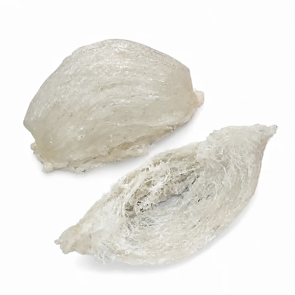 马来西亚纤维走向 实拍