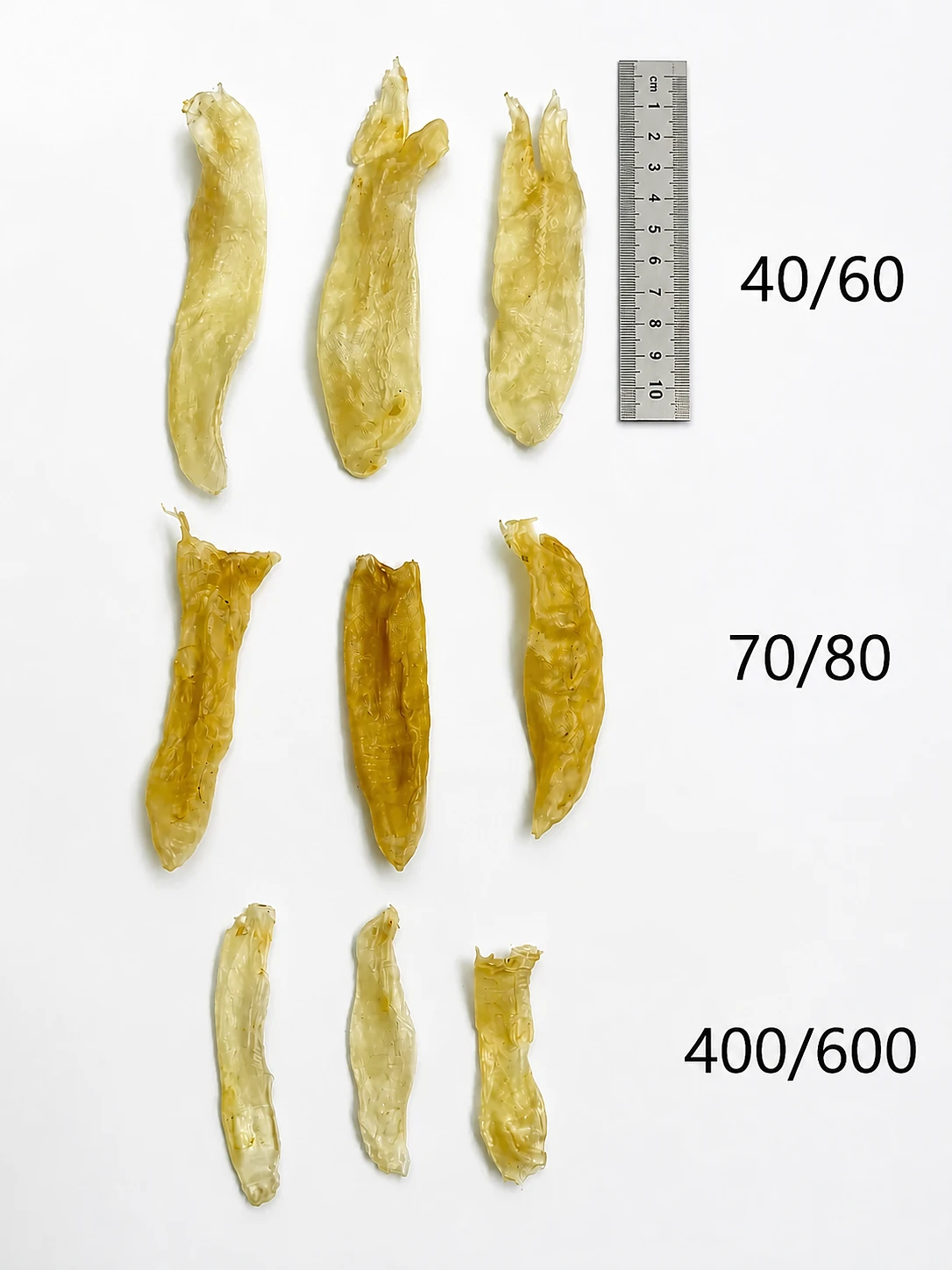佐罗胶规格对照实拍:40/60、70/80、400/600 头,附钢尺比例