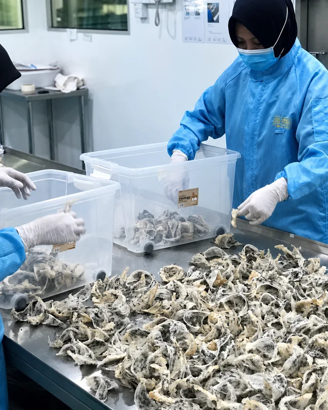 星宸燕窝加工工序：分类