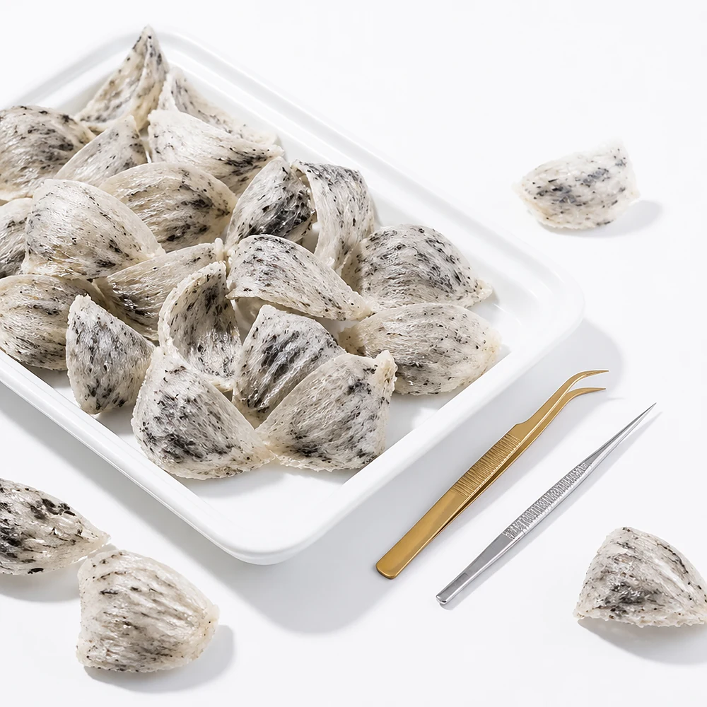 一盘待挑的毛燕与两把挑毛镊子 —— 湿挑全程只用镊子与 RO 净水