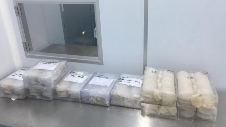 你们是用什么盒子包装呢？一盒能装多少克呢？