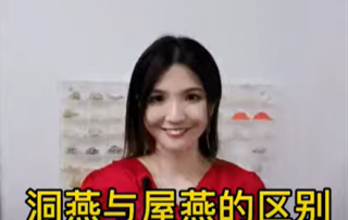 屋燕和洞燕有什么区别呢?