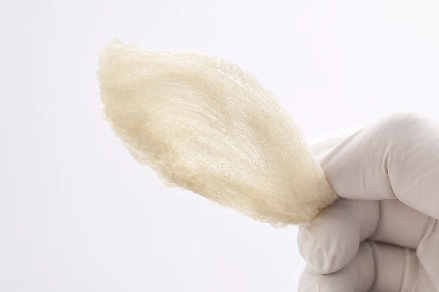 Gloved hand holding a single dry-cleaned whole nest, its strands clearly visible